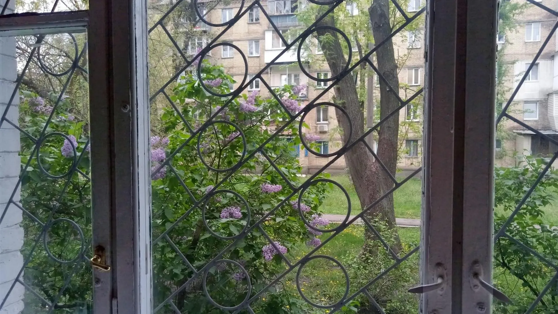 Peace Avenue Apartment Kyiv